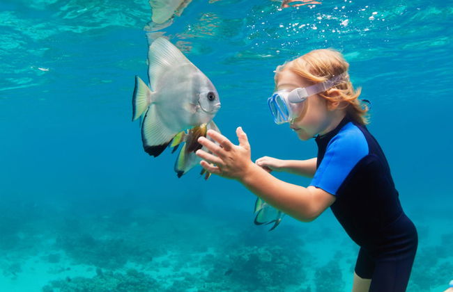 Snorkel en Maldivas - Foto 3