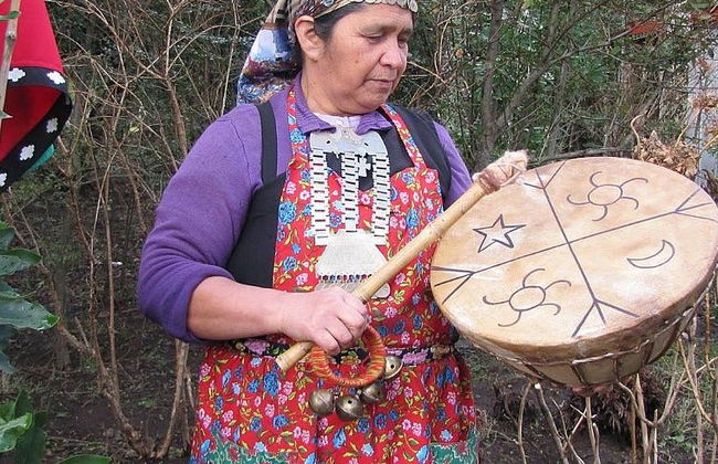 Tour de la cultura mapuche - Foto 2