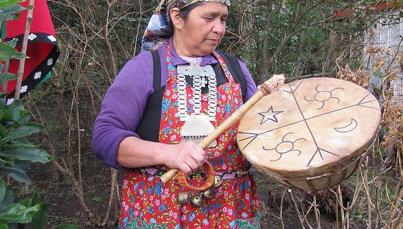 Mapuche Culture Tour - Foto 3