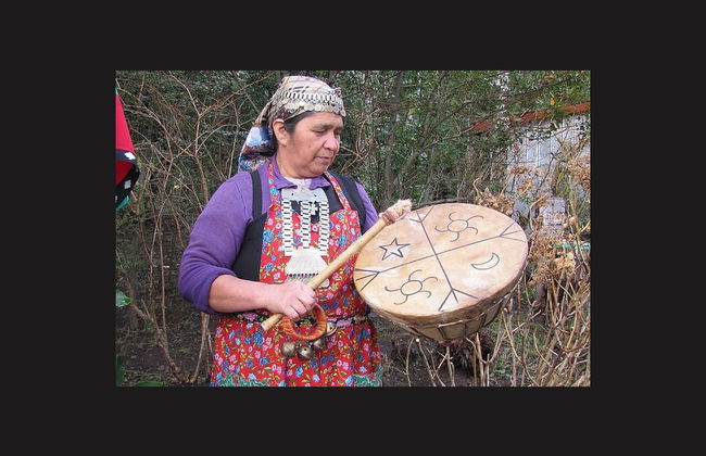 Mapuche Culture Tour - Photo 2