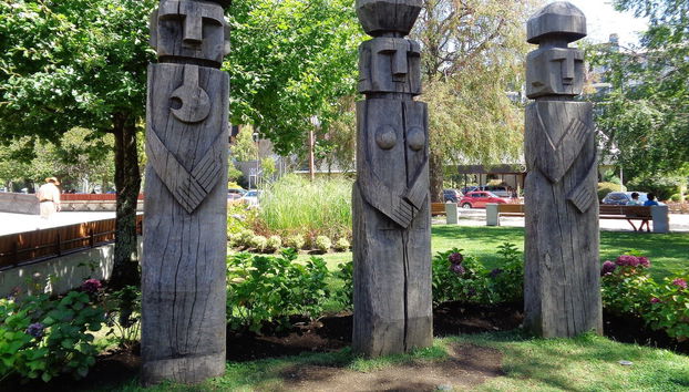 Tour della cultura Mapuche - Foto 3