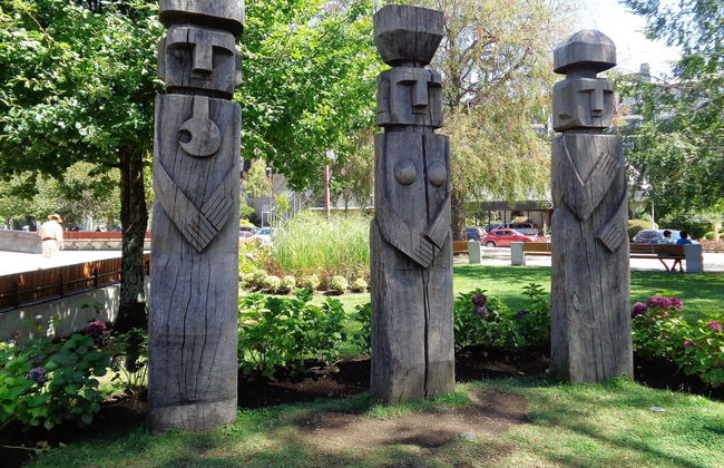 Tour della cultura Mapuche - Foto 3