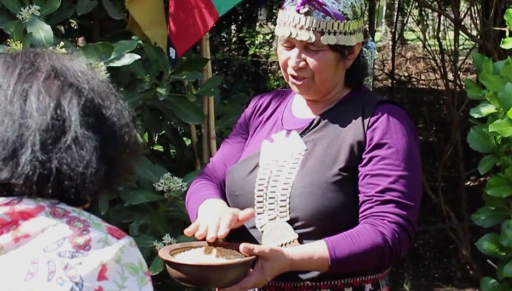 Mapuche Culture Tour - Foto 1