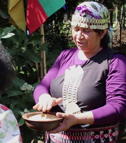 Foto de Tour de la cultura mapuche