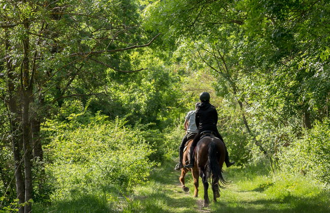 Baños de Agua Santa Horseback Riding - Photo 2