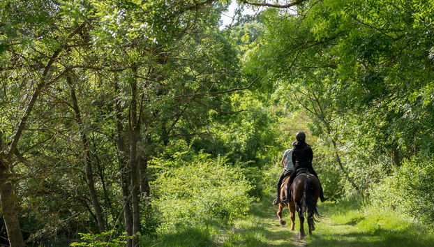 Passeio a cavalo por Baños de Agua Santa - Foto 5