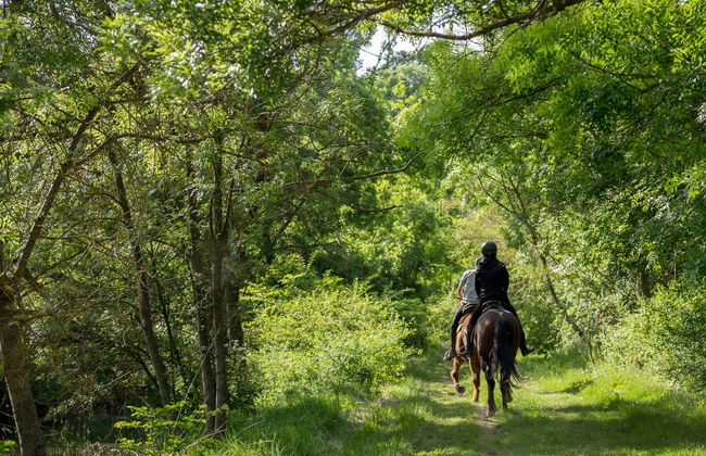 Passeio a cavalo por Baños de Agua Santa - Foto 5