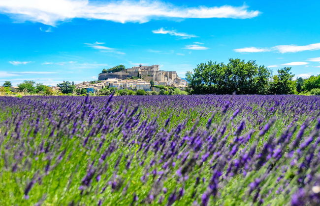 Excursion à Roussillon, Gordes, Lourmarin et Bonnieux - Photo 6