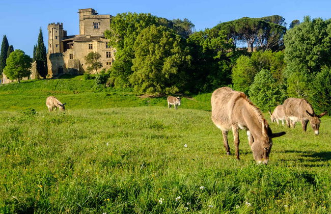 Excursión a Roussillon, Gordes y Lourmarin + Cata de vinos - Foto 1