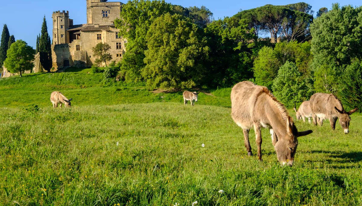 Excursão a Roussillon, Gordes e Lourmarin + Degustação de vinhos - Foto 1
