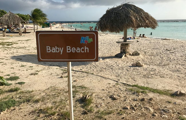 Tour por el sur de Aruba - Foto 5
