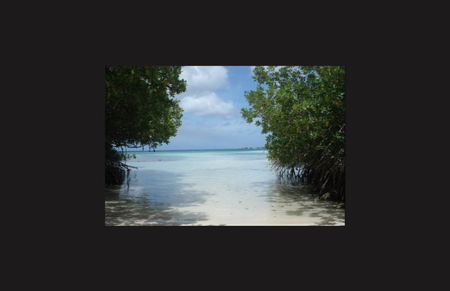 Tour por el sur de Aruba - Foto 4