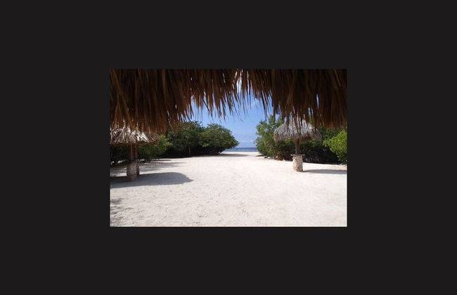 Tour por el sur de Aruba - Foto 2