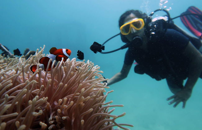 Beginners Scuba Diving Experience - Photo 1