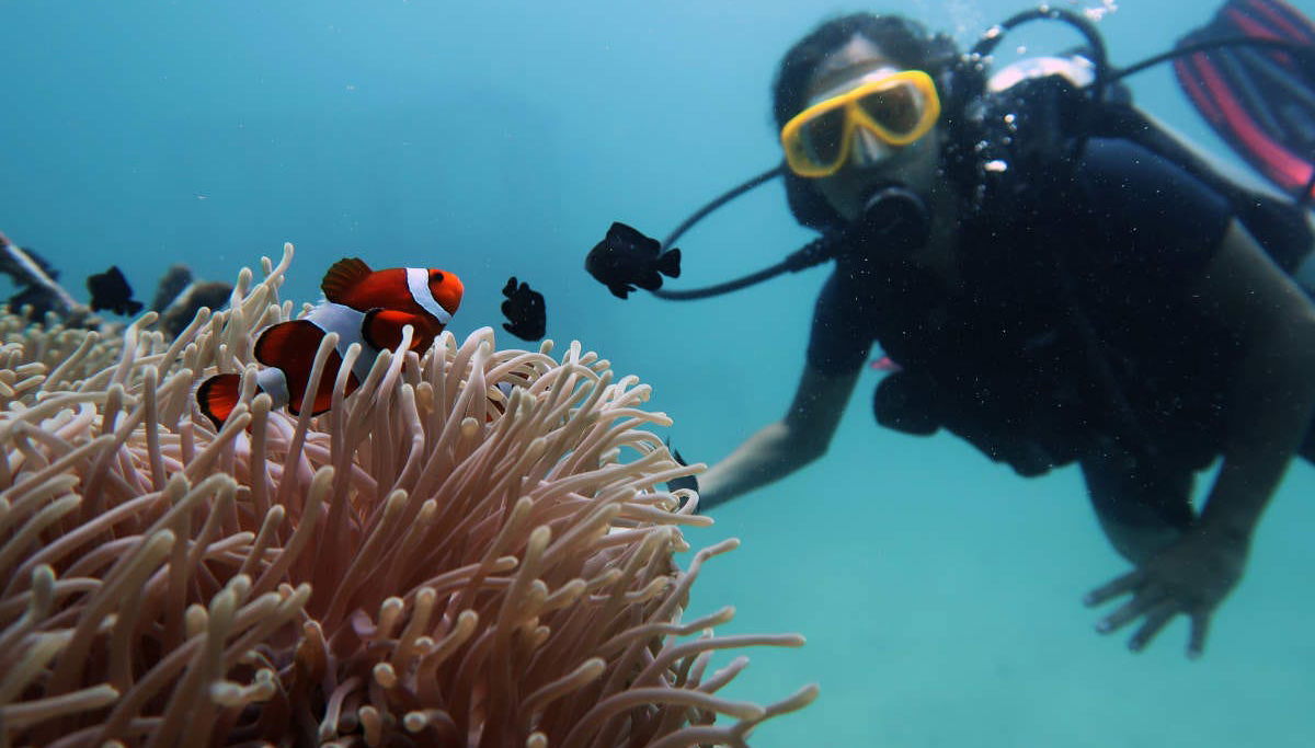 Beginners Scuba Diving Experience - Photo 1