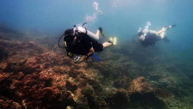 Beginners Scuba Diving Experience - Photo 3