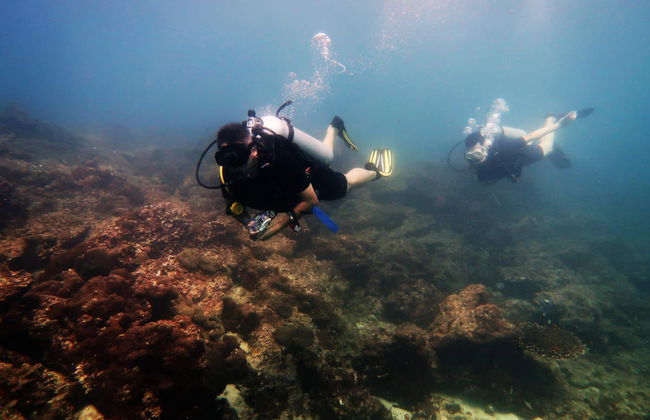 Beginners Scuba Diving Experience - Photo 3