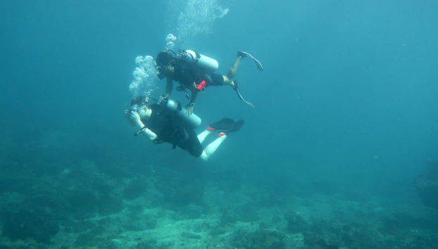Beginners Scuba Diving Experience - Photo 2