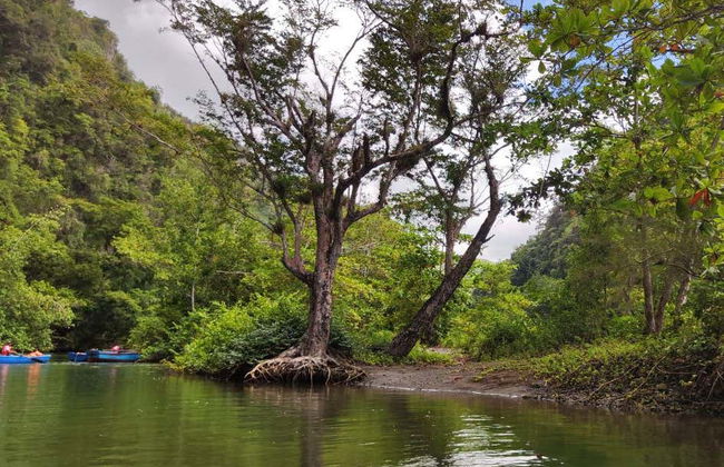 Excursão ao Cânion de Yumurí - Foto 4