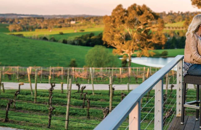 Autobus turistico dei vigneti di Adelaide - Foto 10