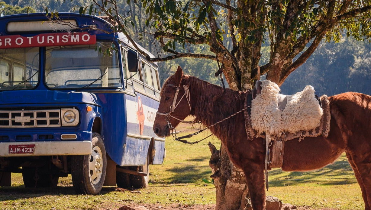 Tour da cultura europeia e gaúcha na Linha Ávila