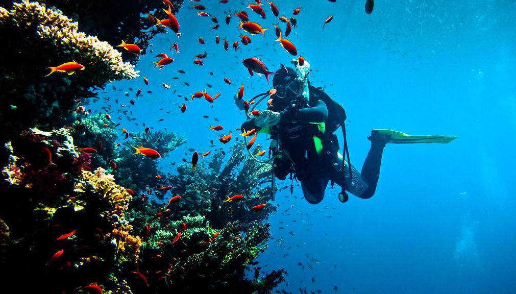 Buceo en el Mar Rojo - Excursión de día completo - Foto 1