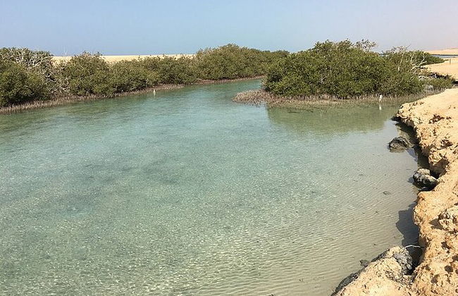 Excursión de medio día al Parque Nacional Ras Mohamed en autobús - Sharm El Sheikh - Foto 6