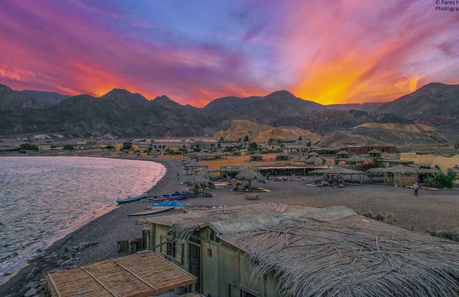 Excursión de medio día al Parque Nacional Ras Mohamed en autobús - Sharm El Sheikh - Foto 9