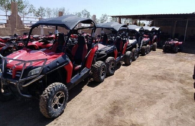 3-Hour Buggy Safari & Echo Valley Adventure – Sharm El Sheikh - Photo 8