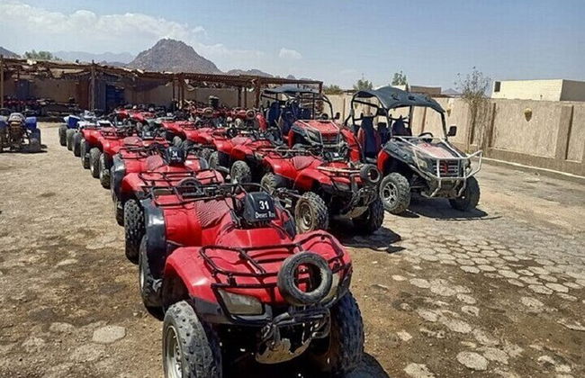 3-Hour Buggy Safari & Echo Valley Adventure – Sharm El Sheikh - Photo 10