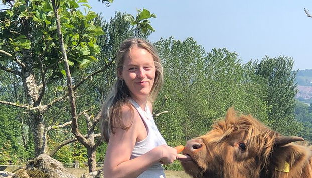 Vacas de las Tierras Altas, pasee con alpacas y visite un centro de vida silvestre escocés - Foto 3