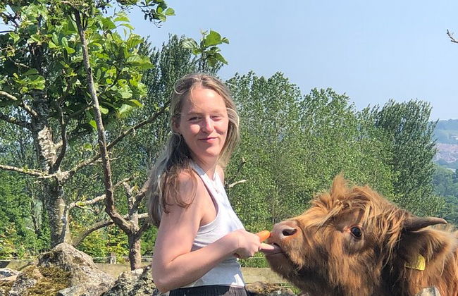 Vacas de las Tierras Altas, pasee con alpacas y visite un centro de vida silvestre escocés - Foto 3