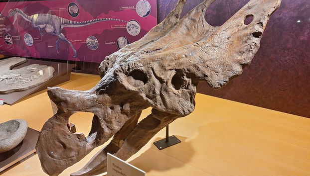 Tour del Museo Giurassico delle Asturie da Oviedo - Foto 5