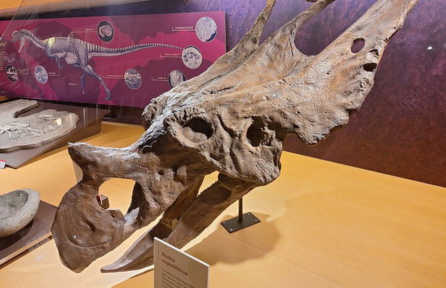 Tour del Museo Giurassico delle Asturie da Oviedo - Foto 5