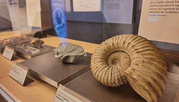 Tour del Museo Giurassico delle Asturie da Oviedo - Foto 3