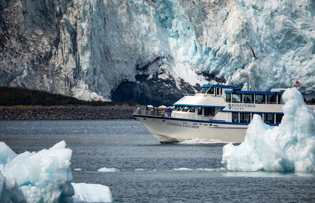 Kenai Fjords National Park Tour - Photo 2