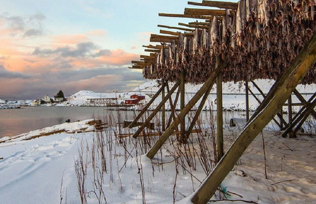 Tour fotografico invernale del Sud Lofoten - Tour di un giorno per piccoli gruppi - Foto 4