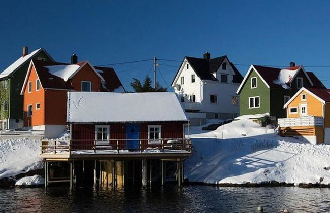 Tour fotográfico de invierno por el sur de Lofoten - Tour de día completo en grupo pequeño - Foto 8