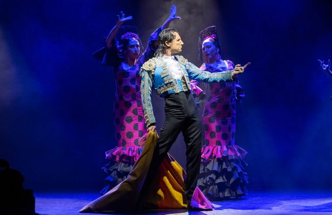 Espectáculo Olé Flamenco Show - Foto 3