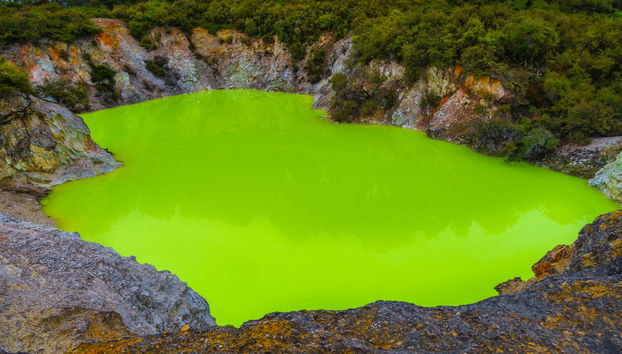 Excursion à Rotorua et Wai-O-Tapu - Photo 2