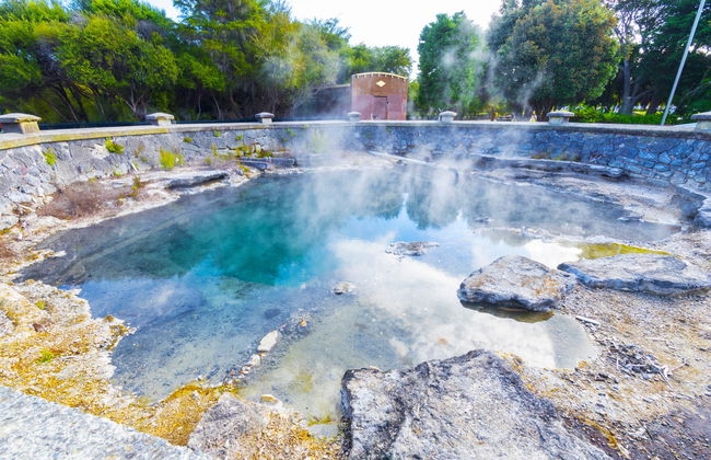 Excursion à Rotorua et Wai-O-Tapu - Photo 7