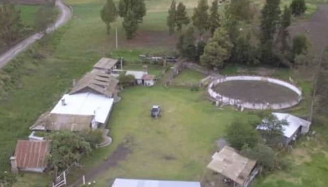 Trilha pelo bosque de Quero