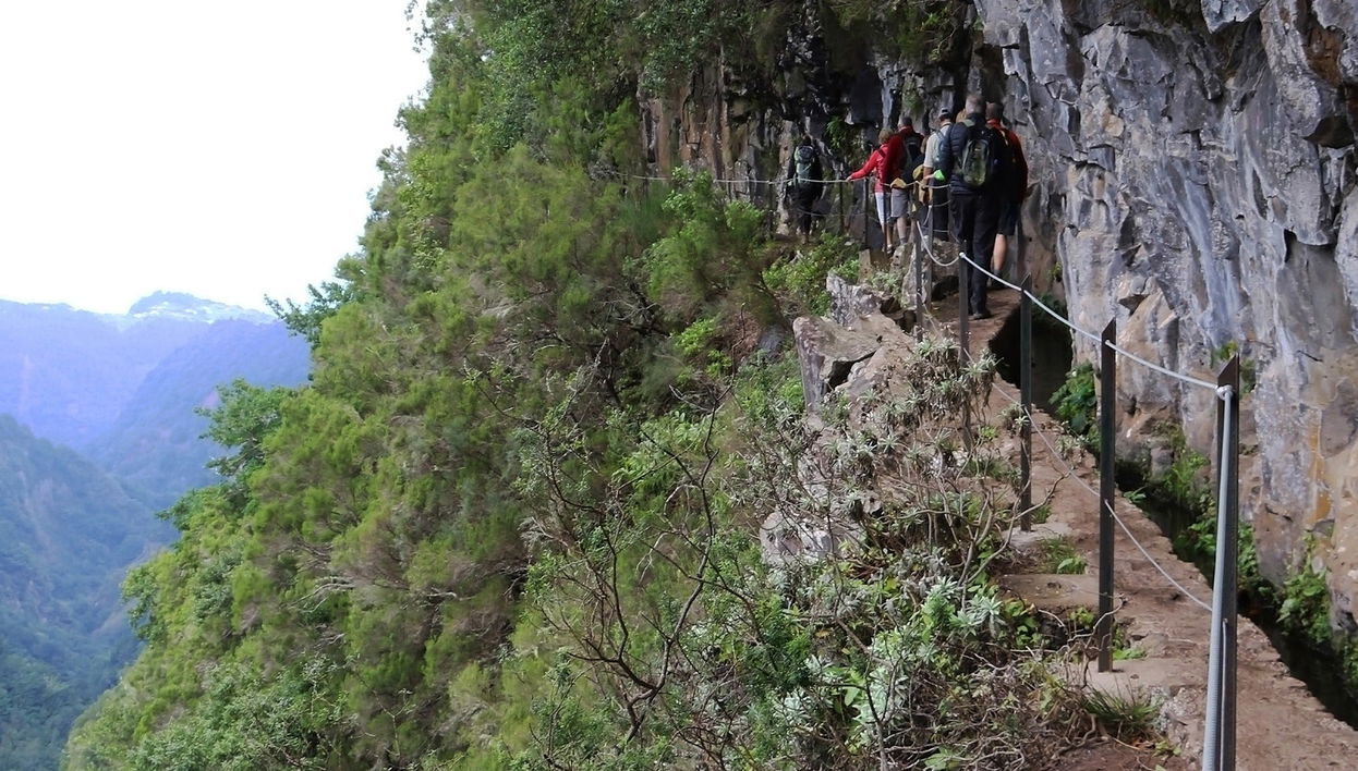 Randonnée dans la levada de Madère