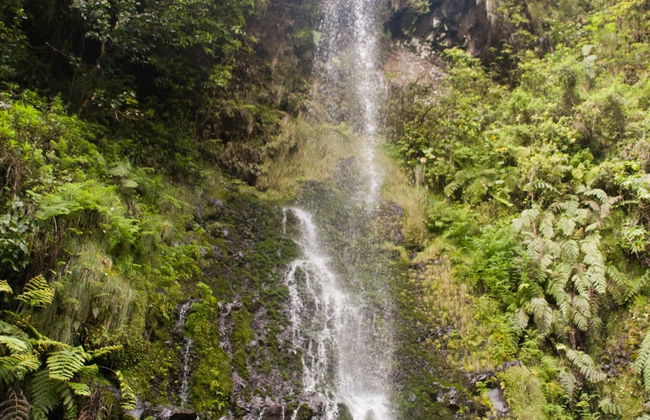 Senderismo por la levada Caldeirão Verde - Foto 5