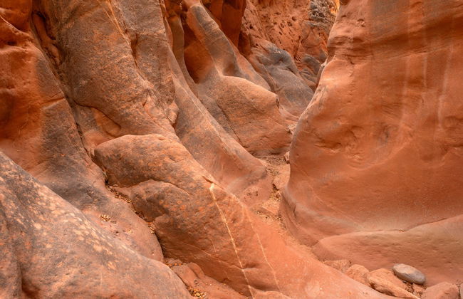 Grand Staircase-Escalante Day Trip - Foto 6