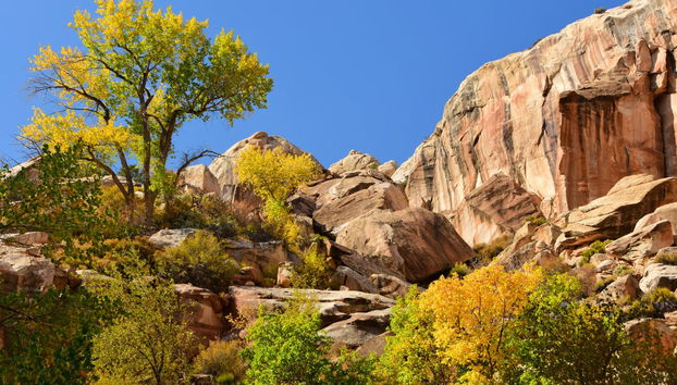 Grand Staircase-Escalante Day Trip - Foto 3