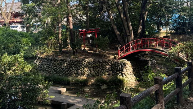 Excursión privada a Kawagoe - Foto 4