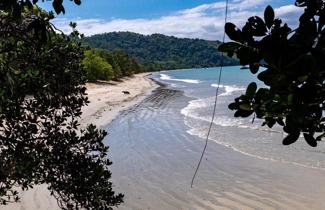 Excursión por el norte de Ubatuba en barco - Foto 7