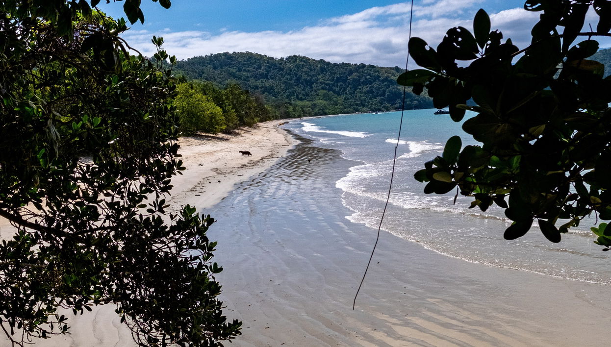 Excursion en bateau au nord d'Ubatuba