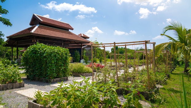 Aula de cozinha tailandesa - Foto 3